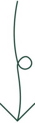 arrow downward